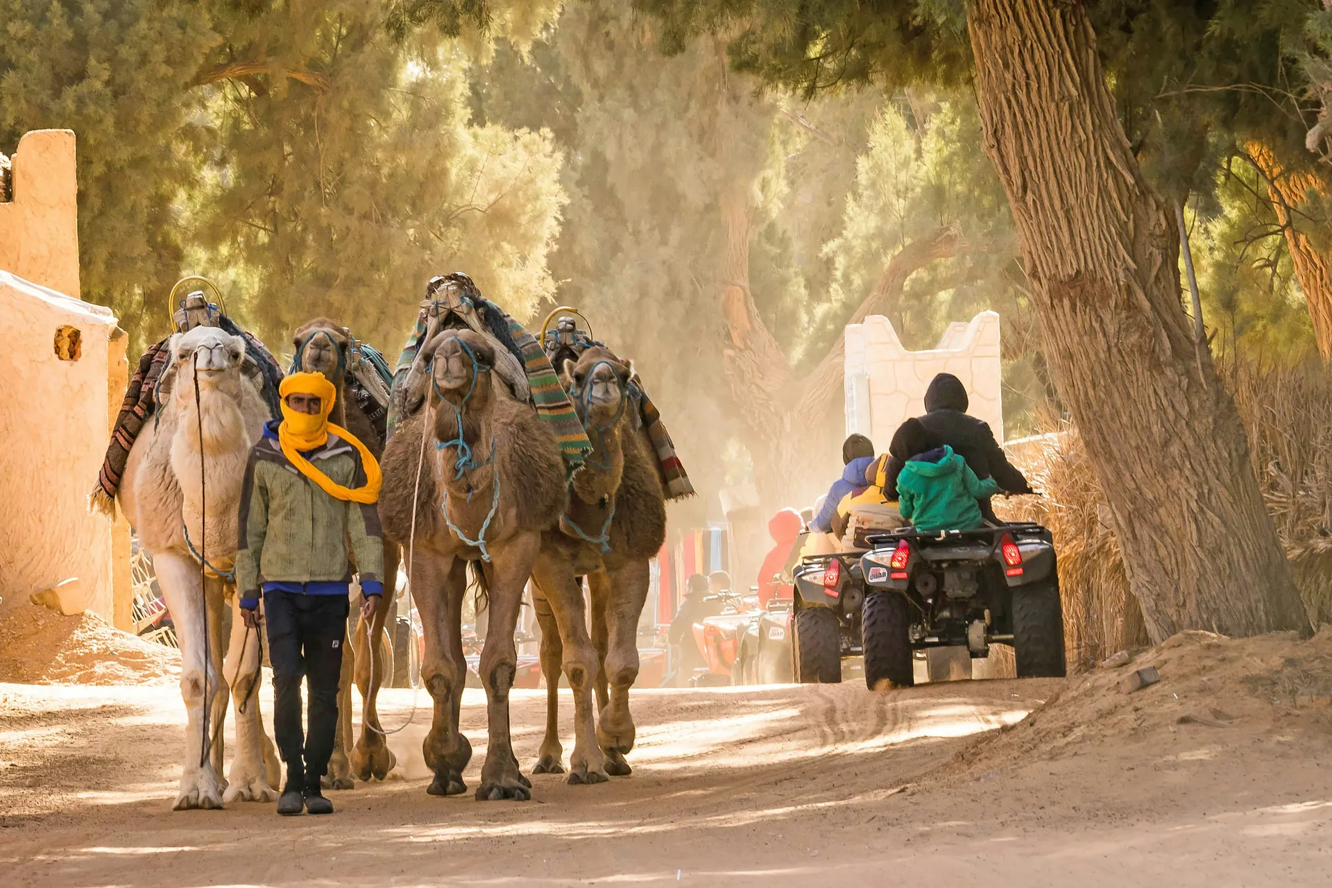 Quad et balade à dos de chameau dans le désert près de Marrakech — Riad Arrahma